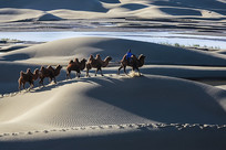 ����Ⱥ����