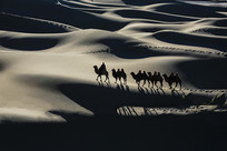 ����Ⱥ��Ӱ