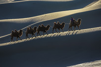 ����Ϧ��