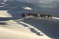 ɳĮ����Ӱ��