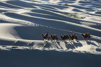 ɳĮ֮�е�����Ⱥ