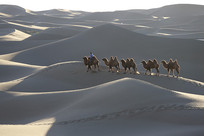 ɳ������