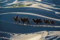 ɳ�����н�������