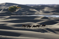 ɳɽ������