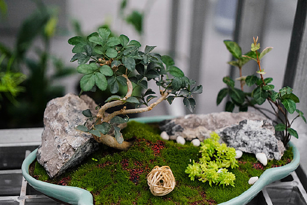 ΢���辰��д