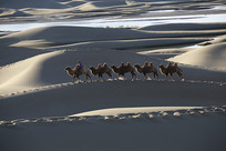 һ������