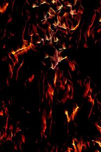 ������ڻ��汳��