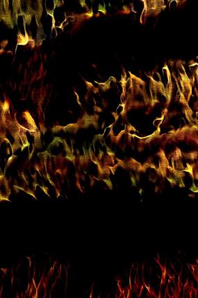 ������̻�����Ʊ���