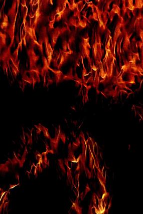 ������Ż��汳��