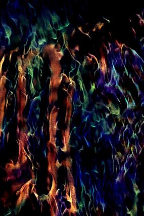 �����Ųʻ�����Ʊ���