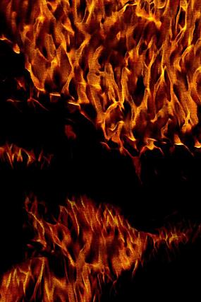 ����������Ʊ���