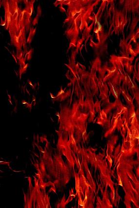 ��������ȼ�ձ���