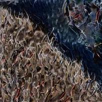 ���ų�������ͻ�����