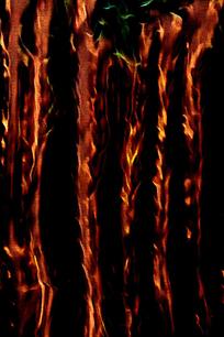 ���ų������װ�λ�