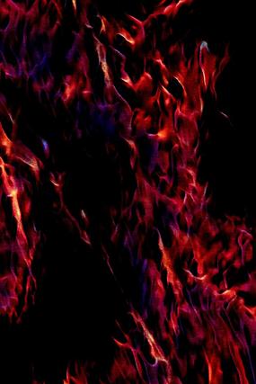 ���ŷ��ڻ������