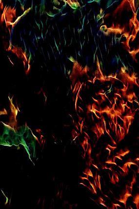 ���Ÿ��Ż��汳��