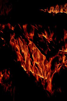 �����趯���𱳾�