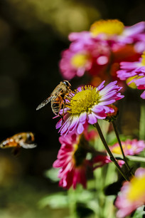 �۷����ʻ�