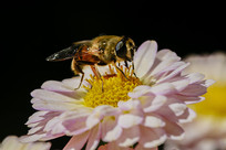 �۷�����