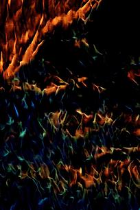 ŷʽ�������װ�λ�