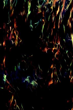 ʱ���Ųʻ���װ�λ�