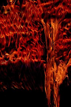 ʱ�г��Ȼ��汳��