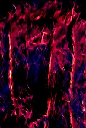 Ψ����������װ�λ�