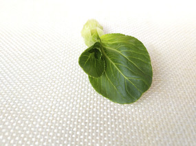 ���ľ���