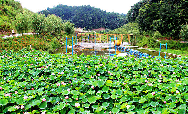 ���ֻƽ�Ⱥɻ���