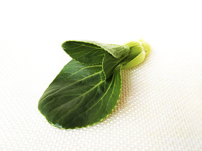 ��ɫ����