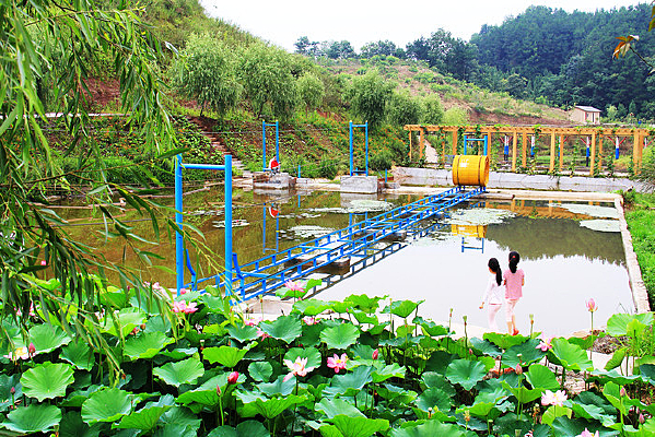 ���ݻƽ�ȵ�������Ŀ