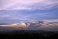 ��ݸ���ð��������ƽ�֯��ϼ