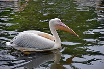 ��Ȼ�Եõ�ˮ��