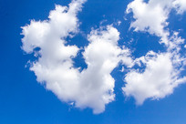 ������Ʊ���