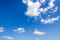 ���챳���ز�