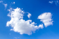 �����µİ���