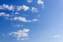 �����Ʋ�