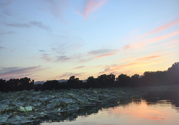 �����ϵ���ϼ