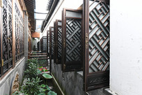 ���Ϸ��ľ��