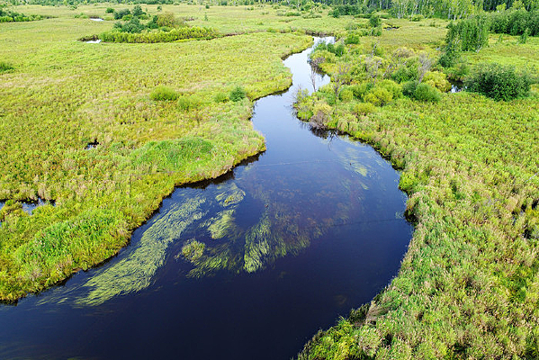 �������ɹŹ��ڶ��� 