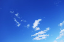 ������Ʒ羰