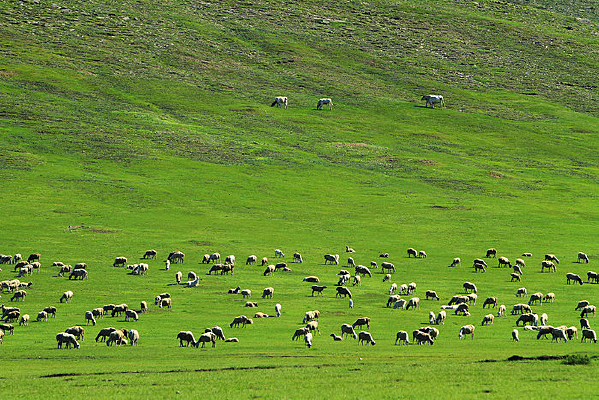 ��ɫɽ��������Ⱥ 