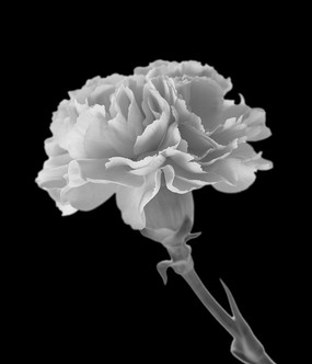 ܰ 