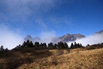 �����������Ƶ����ڹ�ɽ