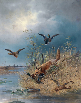  ��������-�����ҰѼ  