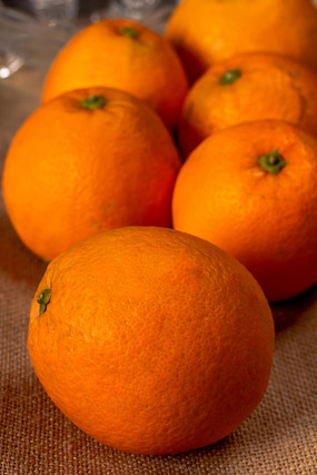 �����ĳ���