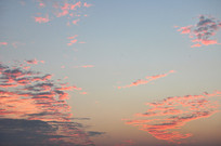 ��������������