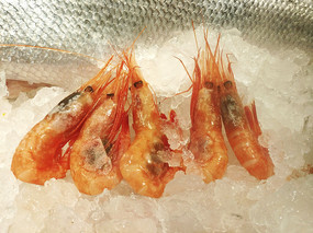 ������Ϻ