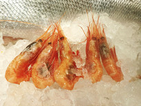 ������Ϻ