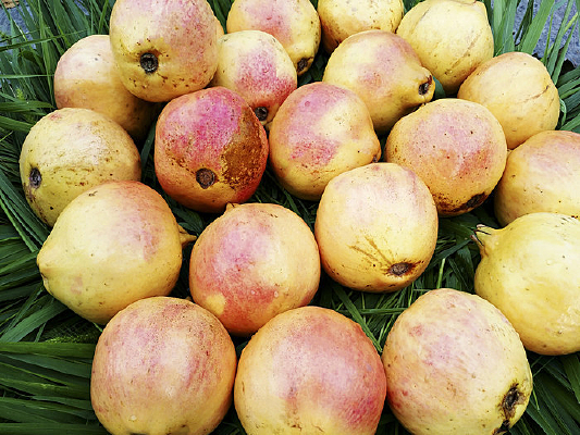 ����ʯ��